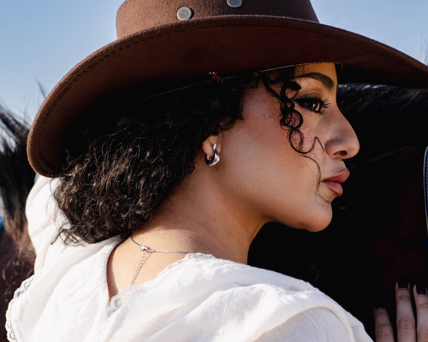 Sesen Earrings in Silver