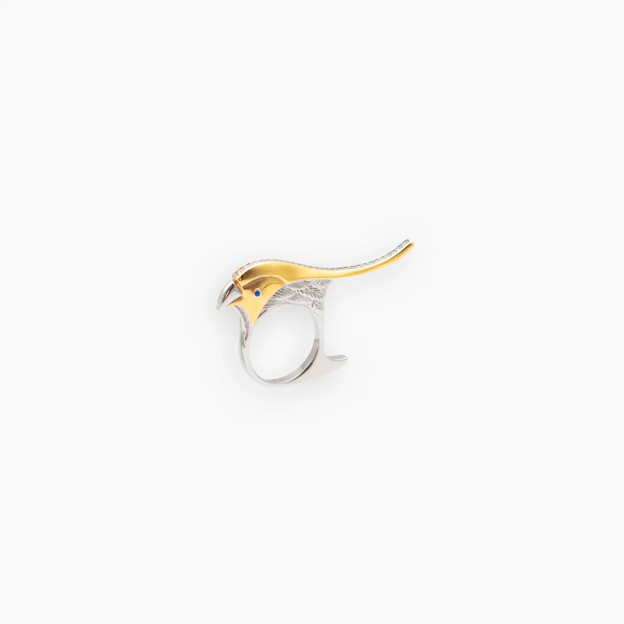 Arc Ring